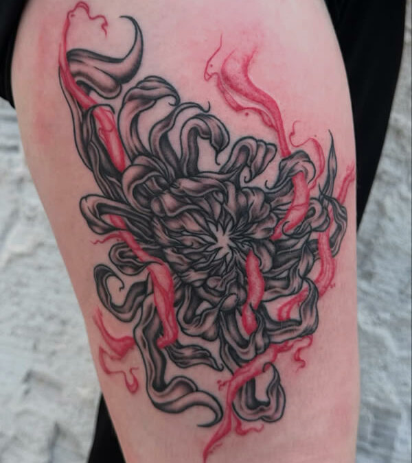 Chrysanthèmes