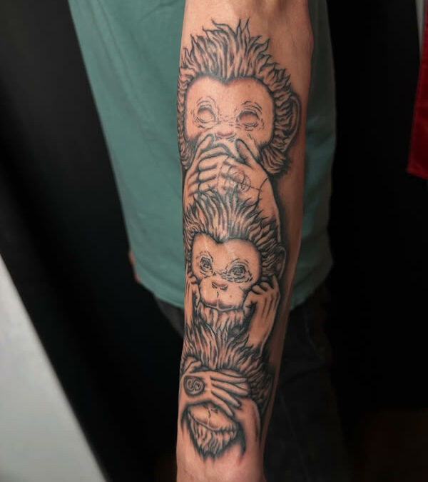 Singes de la sagesse